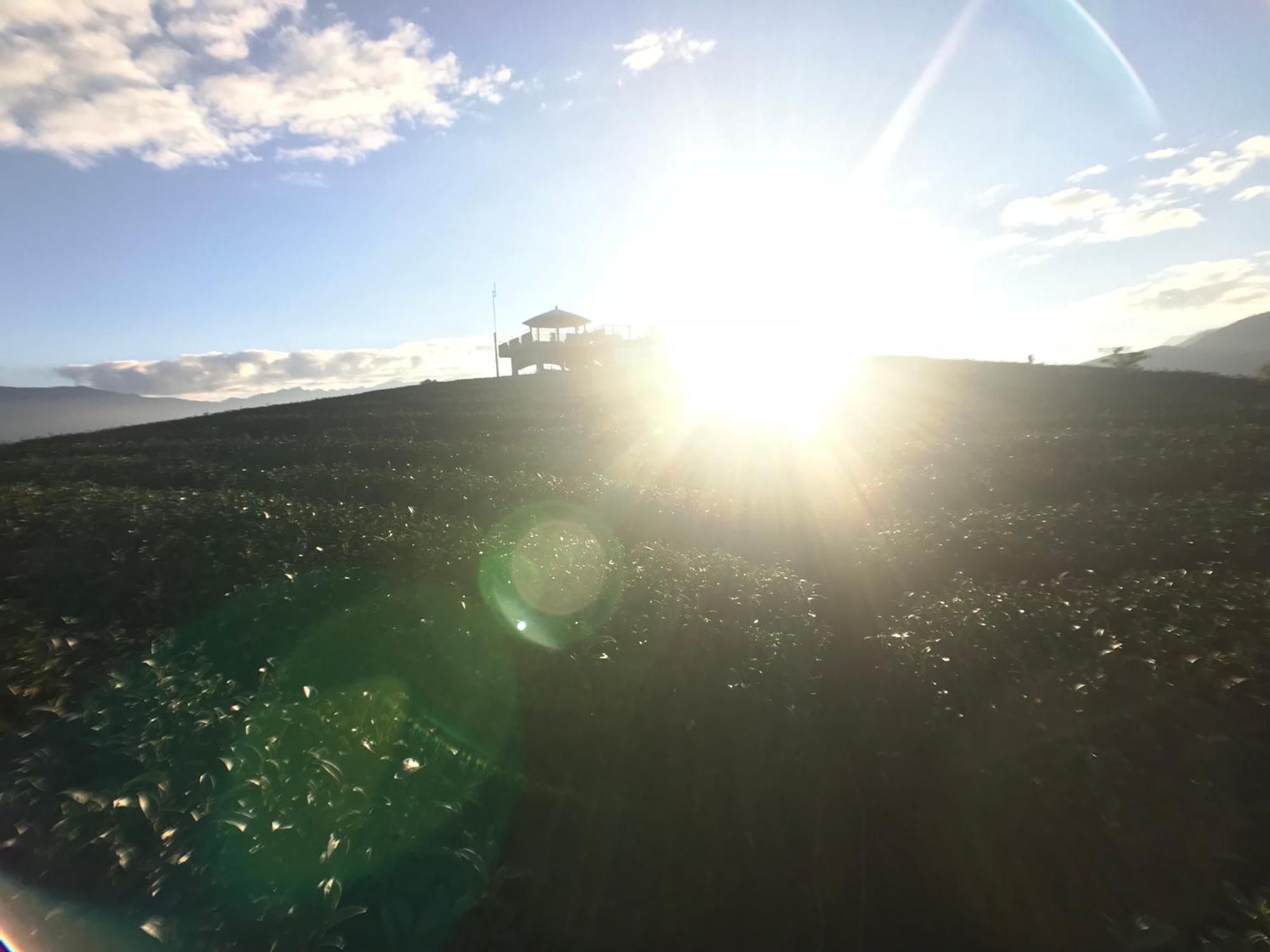 De Ren Tea Gardens Lägenhet Meishan Exteriör bild