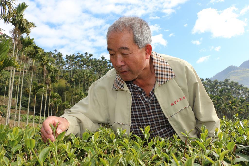 De Ren Tea Gardens Lägenhet Meishan Exteriör bild