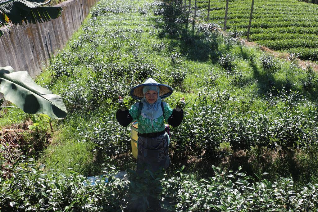 De Ren Tea Gardens Lägenhet Meishan Exteriör bild